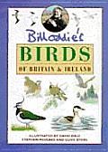 Bill Oddies Birds Of Britain & Ireland