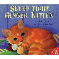 Sleep Tight Ginger Kitten