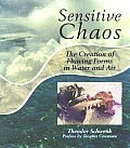 Sensitive Chaos The Creation Of Flow 2nd Edition