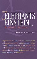 From Elephants to Einstein . . .: Answers to Questions