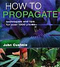 How To Propagate