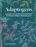 Adaptogens Harness the power of superherbs to reduce stress & restore calm