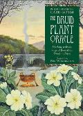 Druid Plant Oracle Working with the Magical Flora of the Druid Tradition