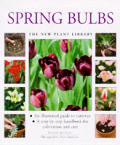 Spring Bulbs The New Plant Library