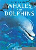 Nature Watch Whales & Dolphins