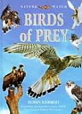 Nature Watch Birds Of Prey
