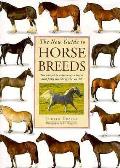 New Guide To Horse Breeds