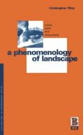 Phenomenology of Landsca