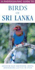Photographic Guide To Birds Of Sri Lanka