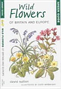 Green Guide Wild Flowers Of Britain & Europ