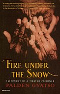 Fire Under The Snow Testimony Of A