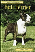Pet Owners Guide To The Bull Terrier
