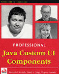 Professional Java Custom Ui Components