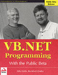 Vb .net Programming On The Public Beta