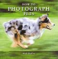 How To Photograph Pets