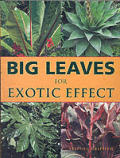 Big Leaves For Exotic Effect