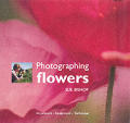 Photographing Flowers Inspiration Equipm