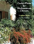 Garden Plants For Mediterranean Climates