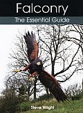 Falconry The Essential Guide