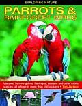Exploring Nature: Parrots & Rainforest Birds: Macaws, Hummingbirds, Flamingos, Toucans and Other Exotic Species, All Shown in More Than 180 Pictures