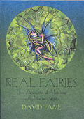 Real Fairies True Accounts of Meetings With Nature Spirits