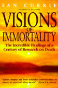 Visions Of Immorality The Incredible Fin