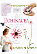 Echinacea Echinacea Angustifolia Echin