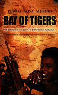 Bay Of Tigers An African Odyssey