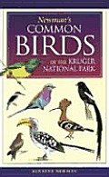 Newmans Birds Of Kruger Park