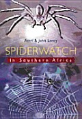 Spiderwatch In Southern Africa
