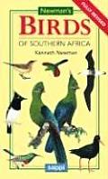 Newmans Birds Of Southern Africa