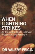 When Lightning Strikes An Illustrated Guide To