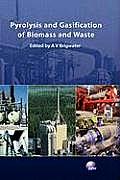 Pyrolysis and Gasification of Biomass and Waste
