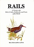 Rails A Guide To The Rails Crakes Gallinules &
