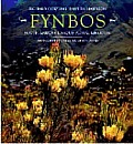 Fynbos South Africas Unique Floral Kingdom