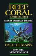 Reef Coral Identification Florida Caribbean Bahamas Including Marine Plants