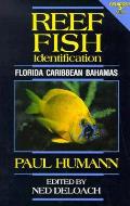 Reef Fish Identification Florida Caribbean Bahamas 2nd Edition