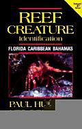 Reef Creature Identification Florida 2nd Edition