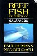 Reef Fish Identification Galapagos