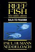 Reef Fish Identification Baja to Panama