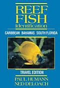 Reef Fish Identification Travel Edition Caribbean Bahamas South Florida