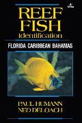 Reef Fish Identification Florida Caribbean Bahamas 4th Edition