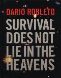 Dario Robleto Survival Does Not Lie In The Heavens