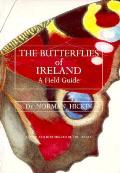 Butterflies Of Ireland A Field Guide