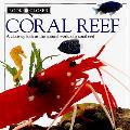 Look Closer Coral Reef