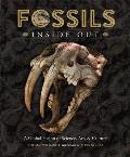 Fossils Inside Out A Global Fusion of Science Art & Culture
