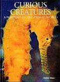 Curious Creatures A Portrait Of The Anim