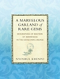 Marvelous Garland of Rare Gems Biographies of Masters of Awareness in the Dzogchen Lineage a Spiritual History of the Teachings of Natural Great