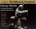 Lifesize Merlin Wildfowl Carving Magazine Workbench Projects
