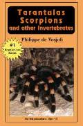 Tarantulas Scorpions & Other Invertebrates